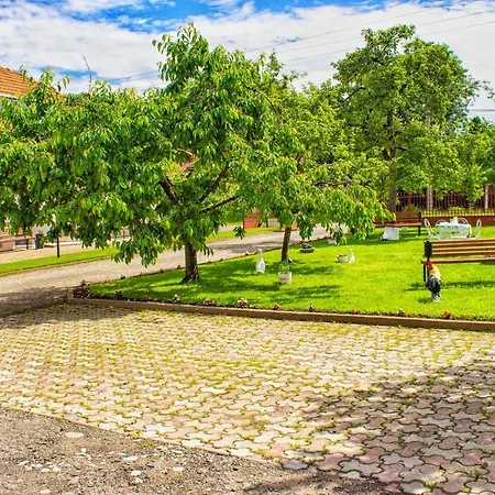 Pensiunea Mariana Ocna Şugatag